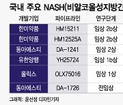 술 안마시는데 지방간이…30조 NASH 시장, K-바이오도 도전장