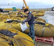 충남도 수산자원연구소, 수산물 안전성 조사체계 강화