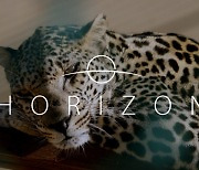 Saudi Arabia’s Ministry of Media launches Horizon documentary on Netflix, about wildlife in the Kingdom