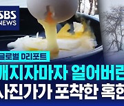 [글로벌D리포트] 사진작가가 포착한 혹한 순간