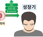 "체내 효소 활성화로 모발 성장 유도…탈모 치료 가능성 제시"