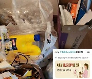 도봉구, 지역화폐 연계형 '탄소공감마일리지' 확대·개선한다[동네방네]