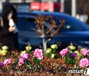 [오늘의 날씨] 경기(18일, 목)…구름 많고, 낮 10도 안팎