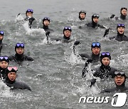 차가운 겨울바다 속으로