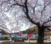 학령인구 감소에… 소규모 학교 통폐합 수순 불가피