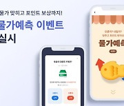 핀다 "붕어빵 물가 맞히면 포인트 준다"