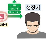 산화스트레스 완화하는 ‘ALDH2’ 효소 활성화시켜 탈모 치료