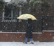 우산 챙기세요…전국 곳곳 눈·비[날씨]