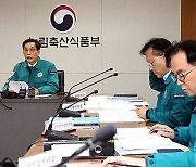 파주에서도 아프리카돼지열병 발병