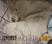 “여학생 가슴 만지고 바지에 손 넣어” 초등학교 밴드부 강사의 성추행(실화탐사대)