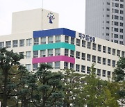 팔공산 계곡서 다이빙하다 사고…법원 "대구시, 배상 책임 없다"