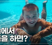 [이영완의 Scope] 바다 속 돌고래가 하품하는 이유는?