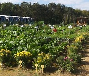 용인특례시, 시민농장에서 텃밭 가꿀 도시농부 794팀 모집