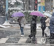 [날씨] 평년보다 춥지 않은 `대한`…전국 대부분 눈 또는 비