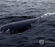 北 동해서 수중 핵어뢰 해일-5 실험…“수중 핵무기체계 중요시험 진행”