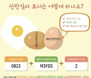 산란일자 뒤 영문·숫자 의미는?…달걀에 새겨진 '숨은정보'