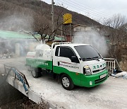 부산서 아프리카돼지열병 추가 발생…"역학조사·방역 총력"