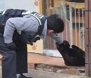 경주 펫숍 앞에 '동물 사체 검은봉투'…용의자 "노루고기"