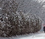 [내일날씨] 큰추위 없는 '대한'…전국 비나 눈·영동 대설