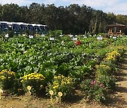 용인시, 올해 시민농장 텃밭 운영할 시민 농부 794팀 모집