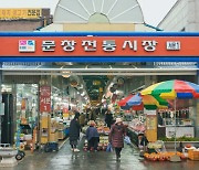 ‘야시장에서 한화이글스 응원을’ 대전 문창전통시장[전국시장자랑]