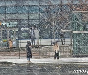 일요일 동해안에 눈·비 계속…밤엔 내륙 중심으로 최대 20㎜