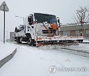 청소년올림픽 강원도에 20㎝ 폭설…비상 1단계