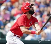 '연어들의 회귀' 푸홀스에 이어 카펜터도 세인트루이스 복귀...1년 계약, 세이트루이스, MLB 최저연봉만 부담, 나머지는 애틀랜타가 줘야