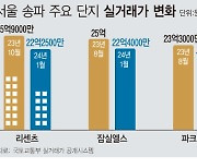 '하락 1위' 송파 집값 속수무책…엘·리·트 84㎡ 3억원 뚝