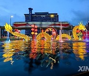 MALAYSIA-KUALA LUMPUR-YEAR OF THE DRAGON-DECORATION