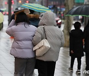 전남 15개 시군 22일 '강풍예비특보'…순간풍속 초당 20m 이상