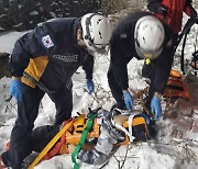 정선 스키장서 10세 남아 리프트 10m 아래로 추락…헬멧 착용