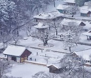 [디깅 트래블]전나무 숲길의 번뇌…채석강에 띄워 보낸다