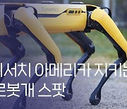 [르포]  AI 동반자 로봇 ‘볼리’부터 ‘갤럭시 AI’까지… 美 실리콘밸리 혁신의 산실 ‘삼성리서치아메리카’ 가보니