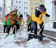 '빙판길 제거' 속초시 제설작업