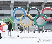 눈 쌓인 강원 2024 페스티벌 사이트