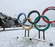 눈 쌓인 강원 2024 페스티벌 사이트