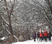 설국으로 변한 남덕유산