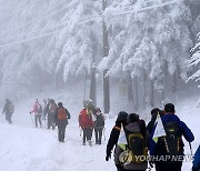 폭설이 선물한 겨울 추억