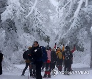 대관령의 겨울 추억 '눈꽃 산행'