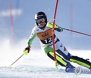 Slovakia Alpine Skiing World Cup