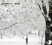 [포토] '눈이 와요' 절경 이루는 겨울의 프랑크푸르트