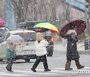 담양군 대설주의보 발효…광주·전남 11개 시군으로 늘어