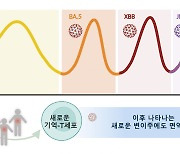 코로나19 오미크론 끊임없는 변이, 면역세포도 기억해 맞선다