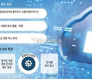 [이슈플러스]클라우드 네이티브 사업, 보안 강화 시급