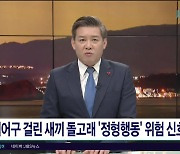 폐어구 걸린 새끼 돌고래 '정형행동' 위험  신호