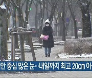 광주·전남 서해안 중심 많은 눈…내일까지 최고 20cm 이상