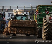 유럽 곳곳 농민 트랙터 시위로 '몸살'