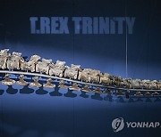 SWITZERLAND T.REX TRINITY EXHIBITION