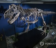 SWITZERLAND T.REX TRINITY EXHIBITION